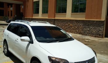 Toyota Fielder 2008 Locally Used full