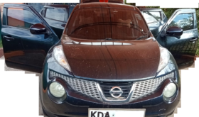 Nissan Juke 2013 Locally Used