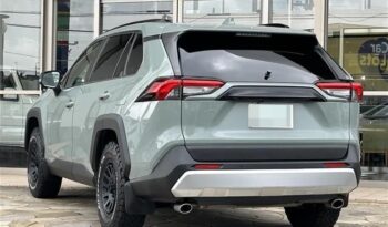 Toyota Rav4 2019 Foreign Used full