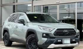 Toyota Rav4 2019 Foreign Used