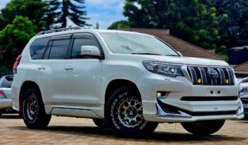 Toyota Land Cruiser Prado 2019 Foreign Used full