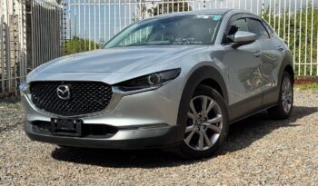 Mazda CX-3 2019 Foreign Used full