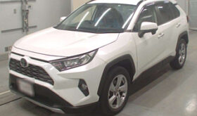 Toyota Rav4 2019 Foreign Used
