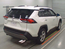 Toyota Rav4 2019 Foreign Used full