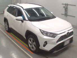 Toyota Rav4 2019 Foreign Used full