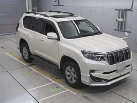 Toyota Land Cruiser Prado 2018 Foreign Used full